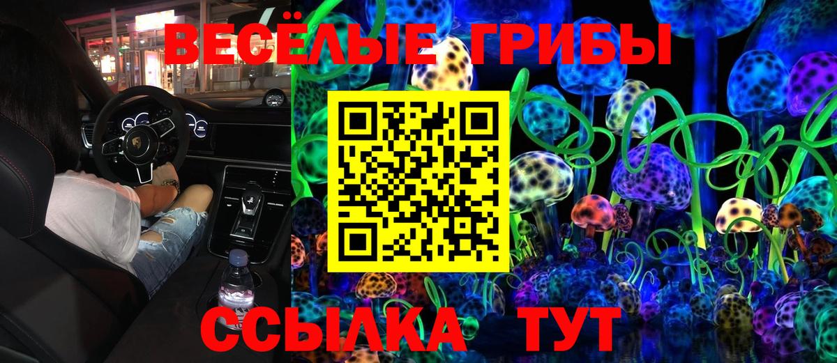 Галлюциногенные грибы Cubensis  купить  цена  Псилоцибиновые грибы Cubensis  Пыть-Ях  Вход с VPN 