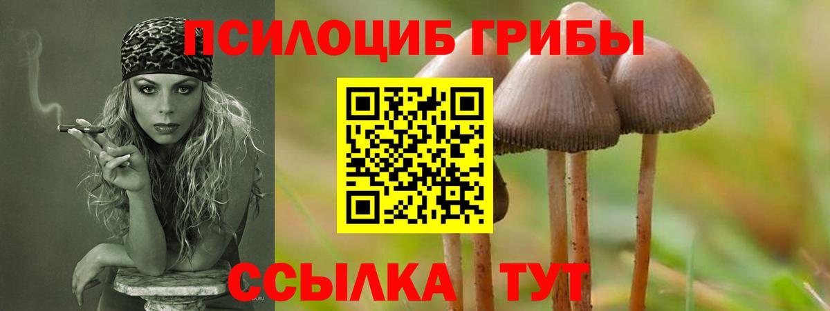 Галлюциногенные грибы мухоморы Пыть-Ях